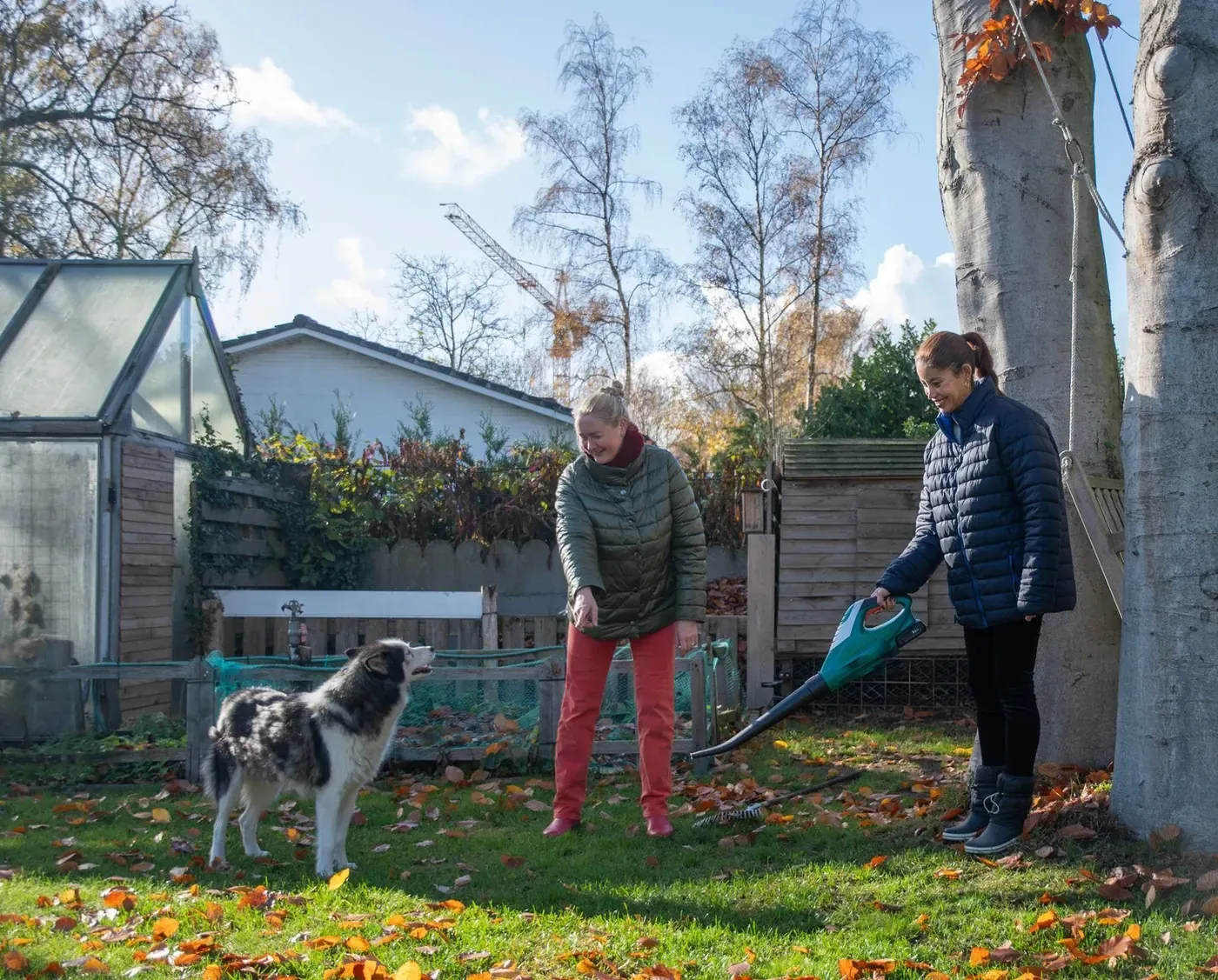 Can Pet Waste Removal Services Scoop Through Fallen Leaves?