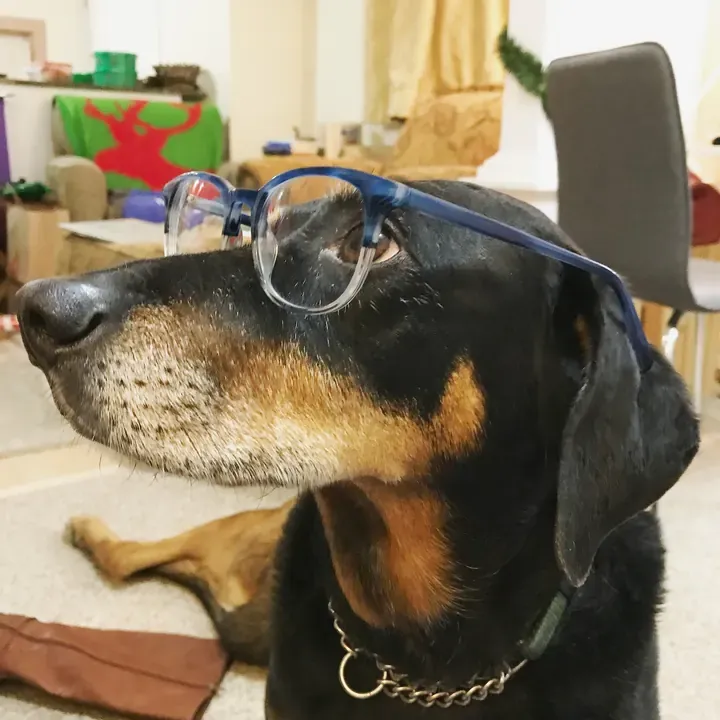 Clover, one of Big Business Scoopers' clients