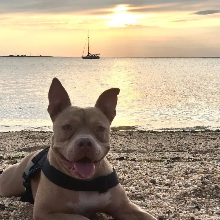 Coco, one of Big Business Scoopers' clients