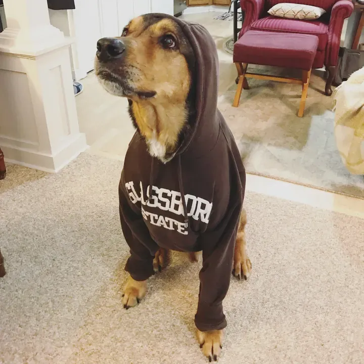 Gus, one of Big Business Scoopers' clients