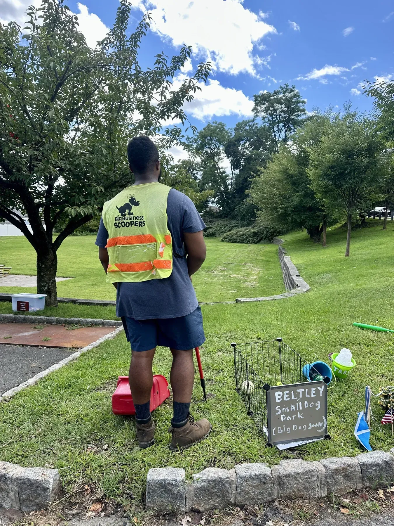 Scooper Greyson in his safety vest at the Beltley small dog park