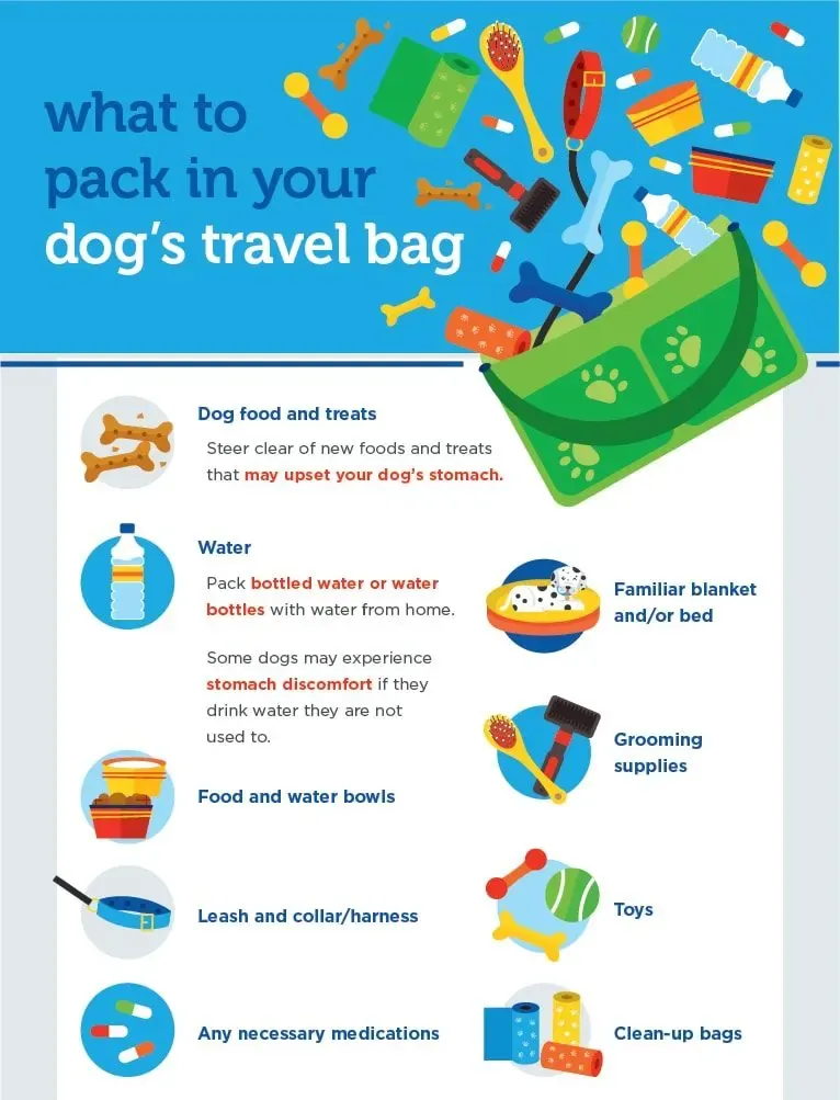 Holidays Are Better Together: Travel Safely With Your Dog