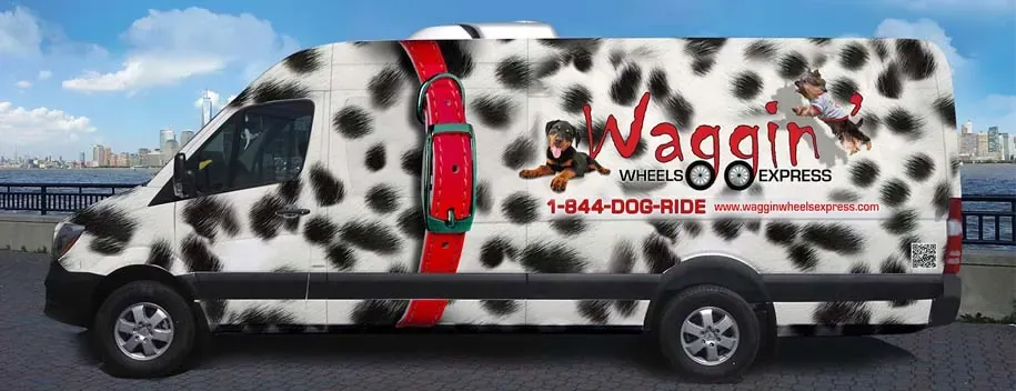 Check out the Waggin’ Wheels Express vehicle. It is a 2014 Mercedes Sprinter van with multiple safety features. Justyna and crew chose this vehicle because of the history and reliability of the brand behind it. If you drive luxury …