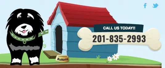 Interview: Mark Thomas of PetNerds, LLC