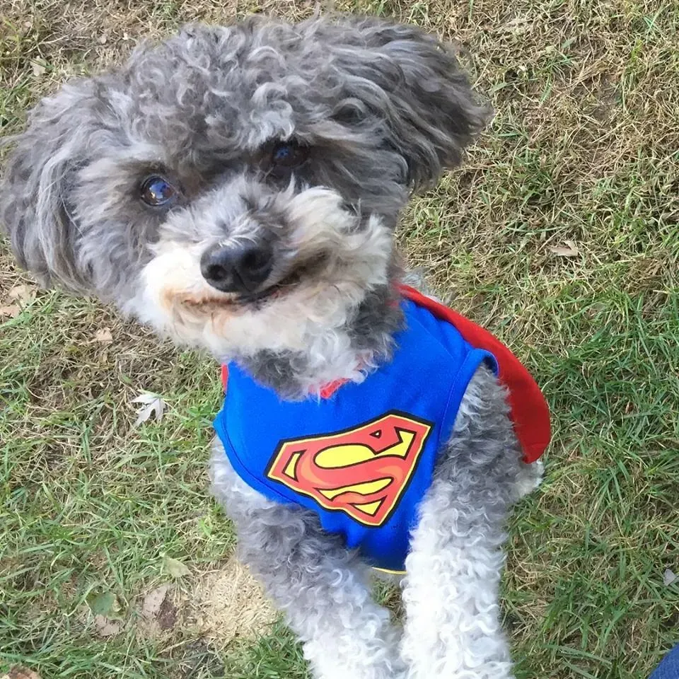 Murphy