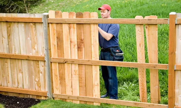 dog waste removal services, pooper scooper business, dog poop services, yard safety, fence installation, dog safety, dog healthy, backyard safety, dog in yard, keeping dog in backyard