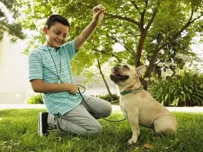 This is an image of a young boy rewarding his dog with a treat for using "the zone" properly. The image illustrates how to train your dog to poop in one particular area of your yard.